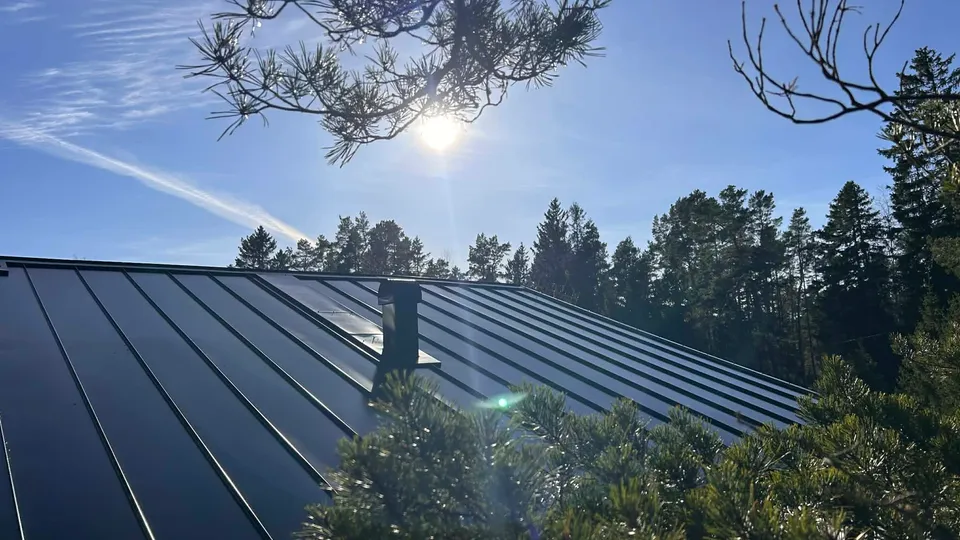 Nylagt mörkt plåttak i solsken omgivet av tallar i Roslagen